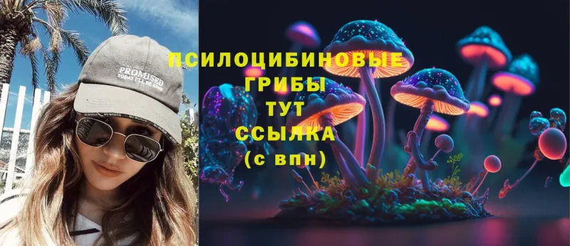 Галлюциногенные грибы Psilocybine cubensis  omg маркетплейс  Энгельс 